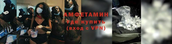 сатива Балахна