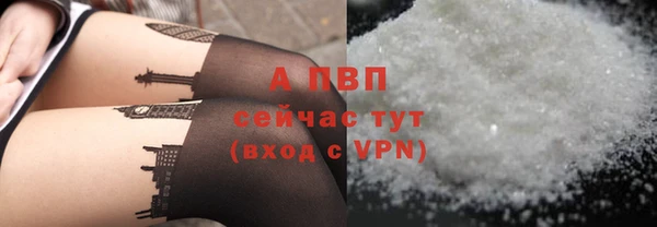 сатива Балахна