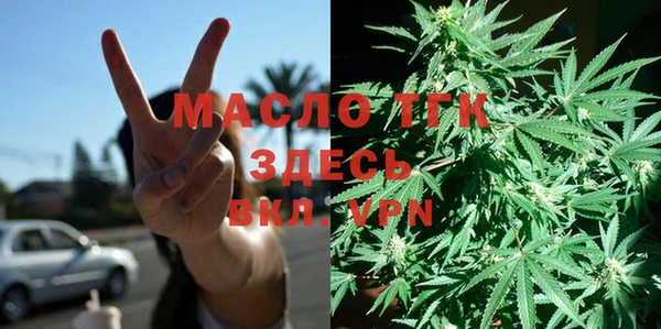 сатива Балахна