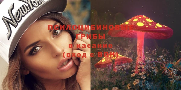 гашик Пролетарск