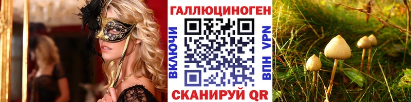 закладки Георгиевск Псилоцибиновые грибы мухоморы